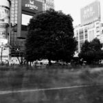 THE FLOOD・渋谷