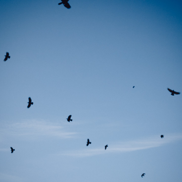 a-poem-_R020092-3564 a-poem-_R020092-3564